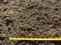 Fill Sand