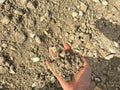 304 Limestone